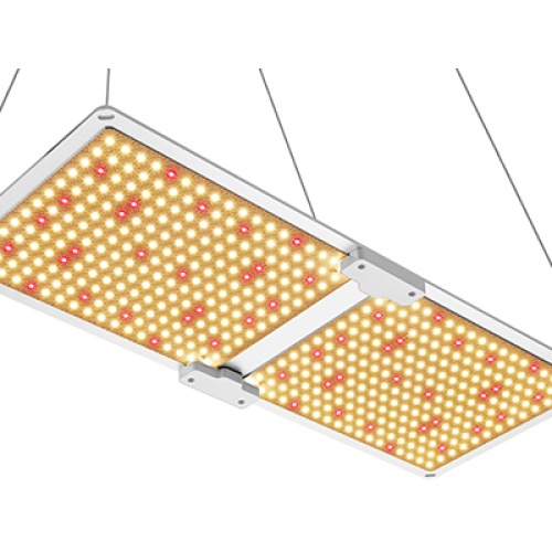 How to test the waterproof performance of plant lights?