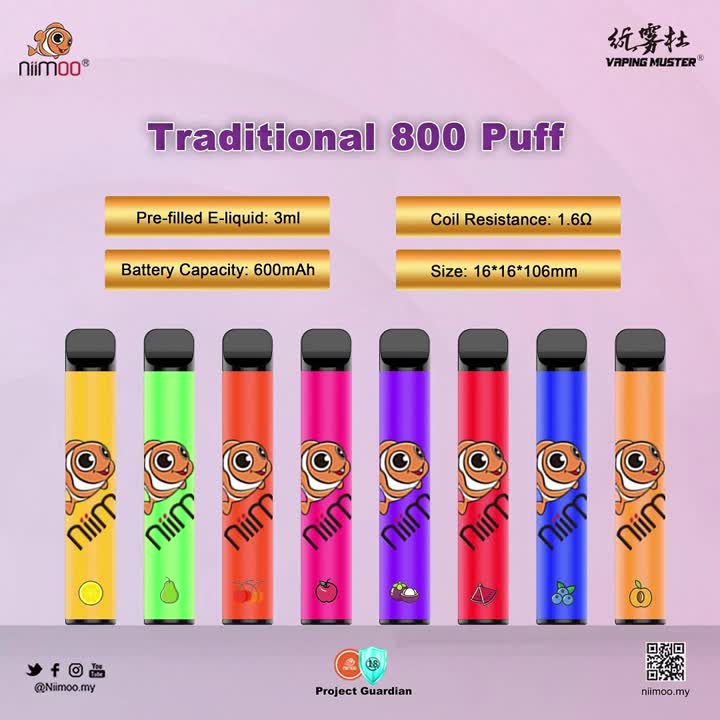 Traditioneller Vape 800