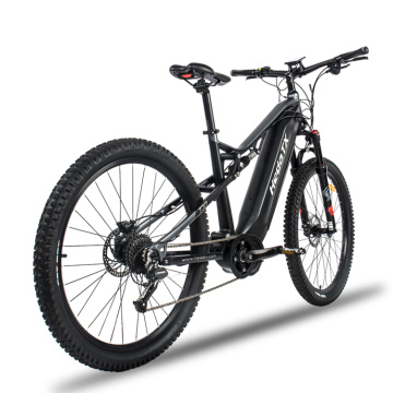 Top 10 Electric Mountain Bike Manufacturers