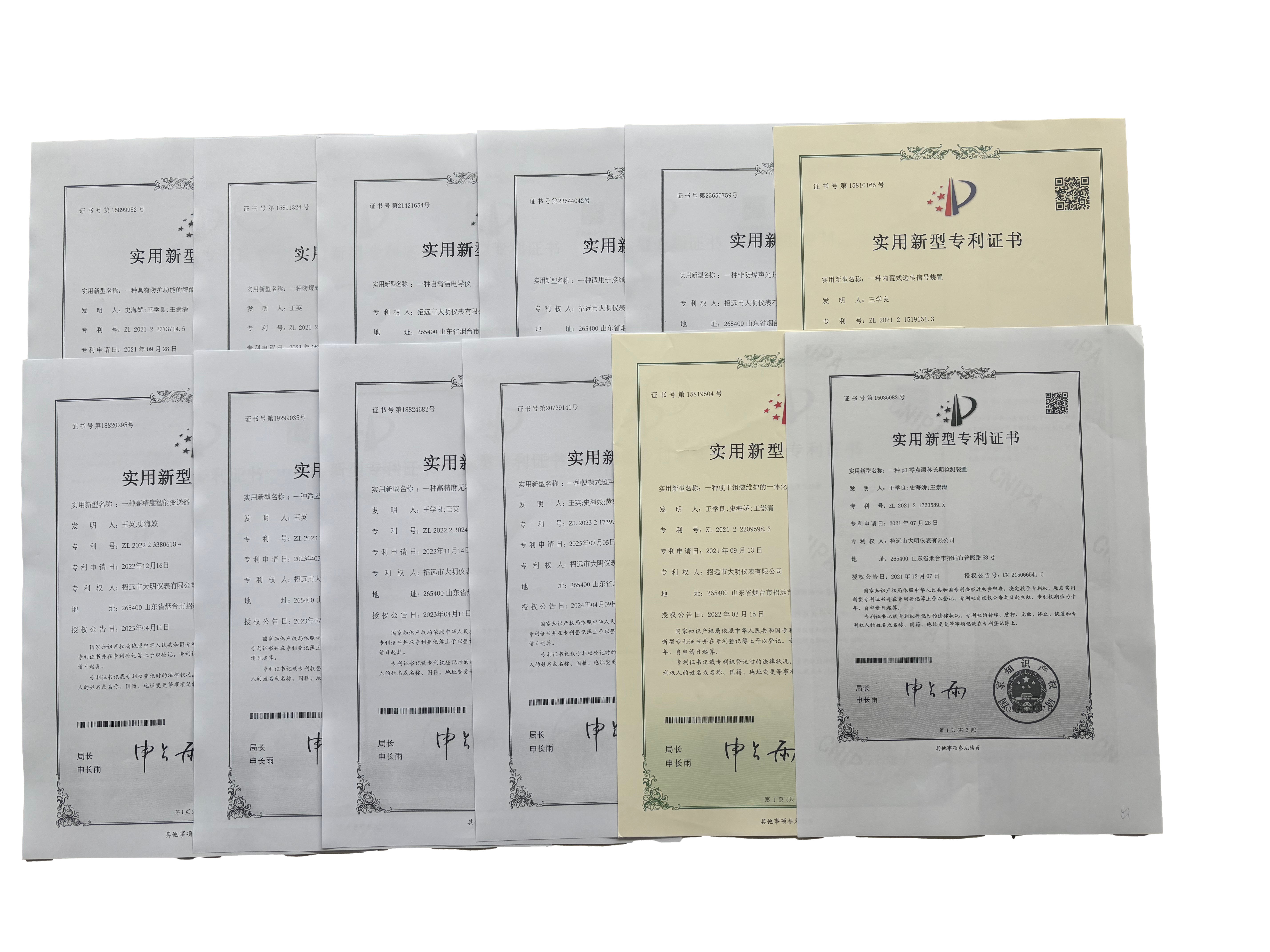 Patent Certificate 5