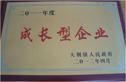 Growth-oriented enterprises in 2011