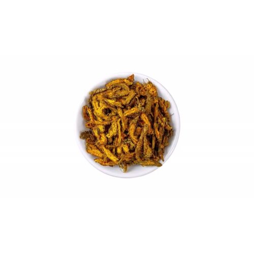 Coptis chinensis