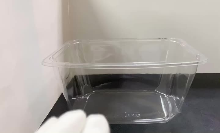 Salad Tub Container