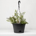 Round Self Watering Hanging Basket Planter Pots for Garden Supplies1