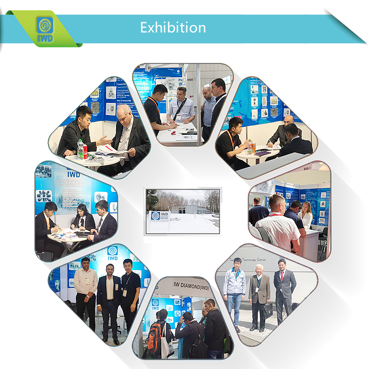 Zhengzhou IW Diamond Co.,Ltd.