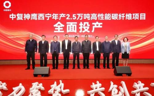 Hochleistungs -Kohlefaserprojekt