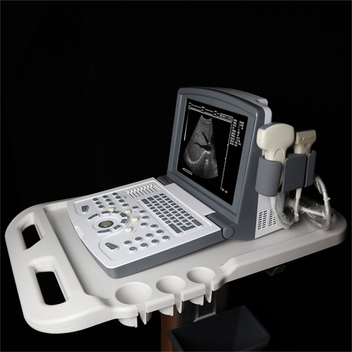 Black and white ultrasound scanner