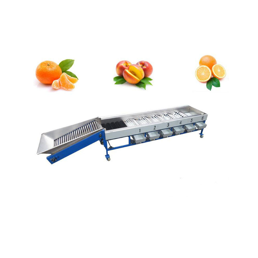 Peeling Cleaning Sterilizing Production Line For Peach