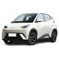 Factory Direct Sales: BYD Seagull New Energy Vehicle - 405km Range 20231