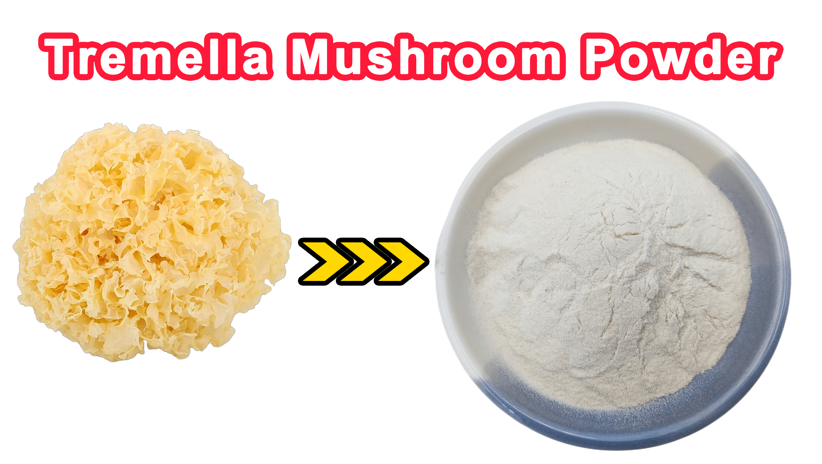 Poudre de champignons Tremella