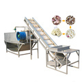 Best Price Garlic Peeling Machine - Automatic Garlic Machine for Sale1