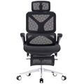 Modern Ergonomic Office Chair with Lumbar Support, Mesh Back, Headrest & Reclining Function1