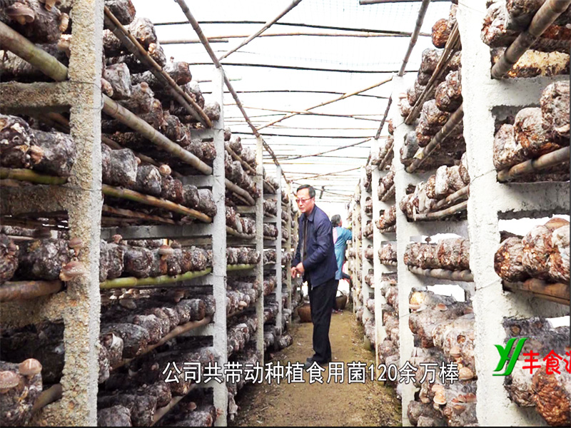 HENAN FENGSHIYUAN FOODSTUFF TECHNOLOGY CO.,LTD