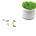 Chinese-Made Multi-Angled Straight Abutment Fixtures & Multi-Unit Abutment Implants1