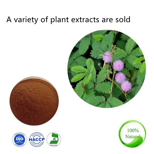 Hot sale of various plant extracts and API