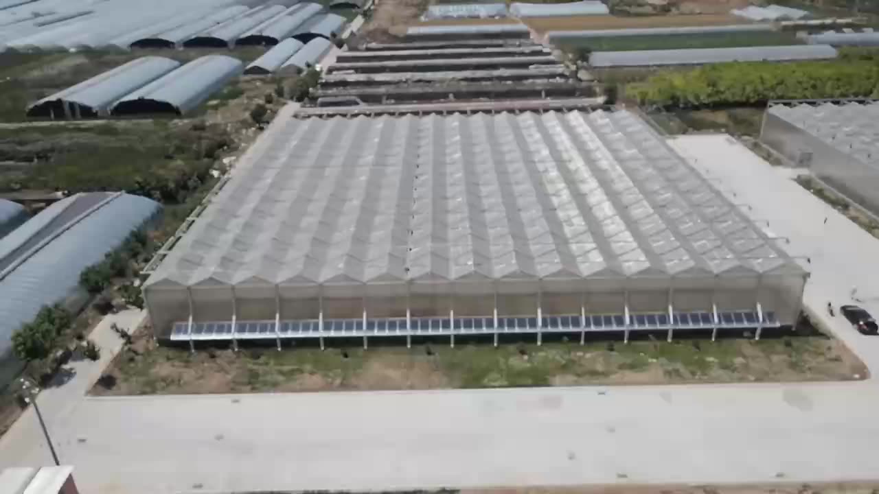 Günstigstes Multi-Span-Gewächshaus-Polycarbonat-Gewächshaus für frisches Gemüse, das China pflanzt11