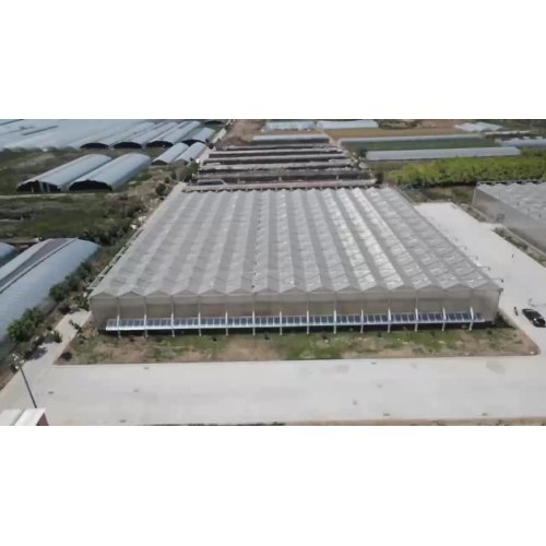 Günstigstes Multi-Span-Gewächshaus-Polycarbonat-Gewächshaus für frisches Gemüse, das China pflanzt11