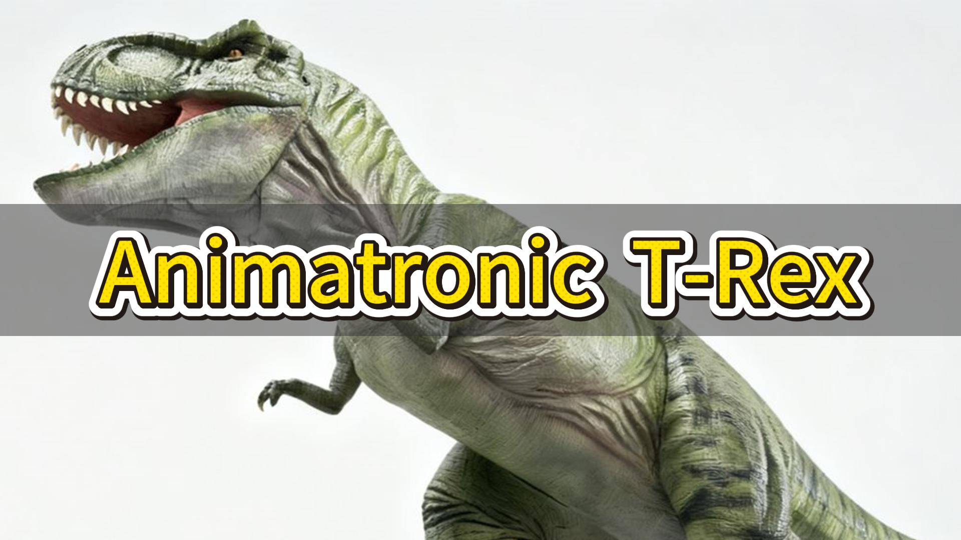 Animatronic T-Rex 12m