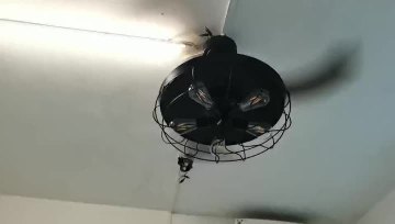 fan light black