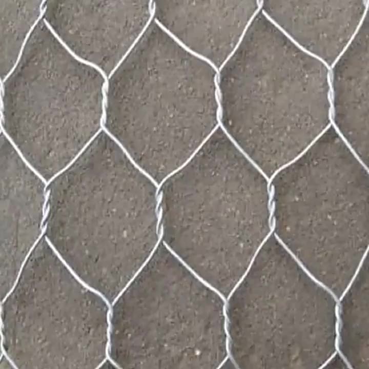 Fio de galinha de malha de arame hexagonal amplamente utilizado na criação de decoração de paisagismo de construção1