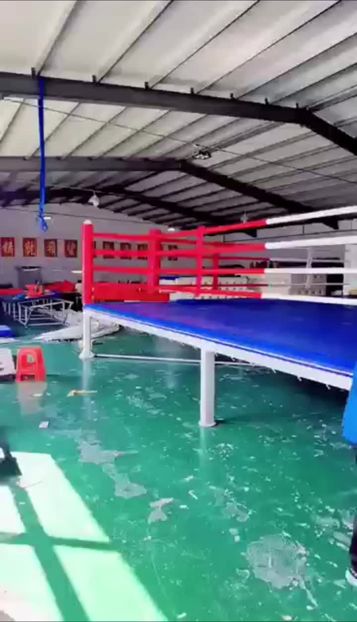 Professional Boxing Ring