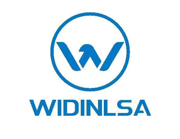 Guangdong Widinlsa International Co.Ltd