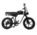 48V 750W Lithium Ebike with 14.5Ah Battery and 20x4.0 Tires1