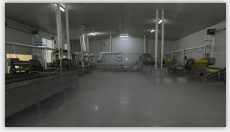 LETING JINTIAN FRUIT AND VEGETABEL CO., LTD.