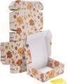 Custom Biodegradable Kraft Paper Boxes with Logo for Shipping1