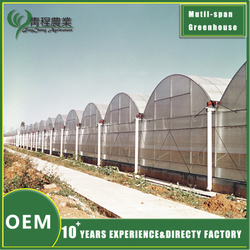 Цяпліца ў Facility Agriculture