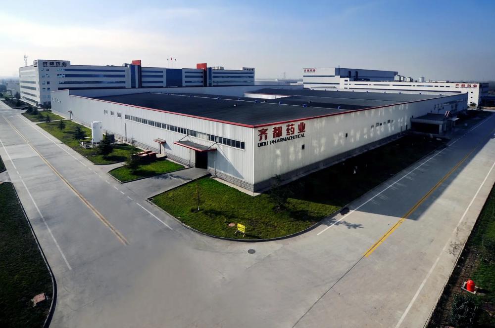 Shandong Qidu Pharmaceutical Co., Ltd.