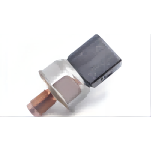 55PP19-01 Rail Pressure Sensor