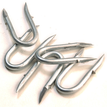 China Top 10 Galvanized U Nails Potential Enterprises