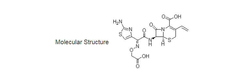 Cefixime02