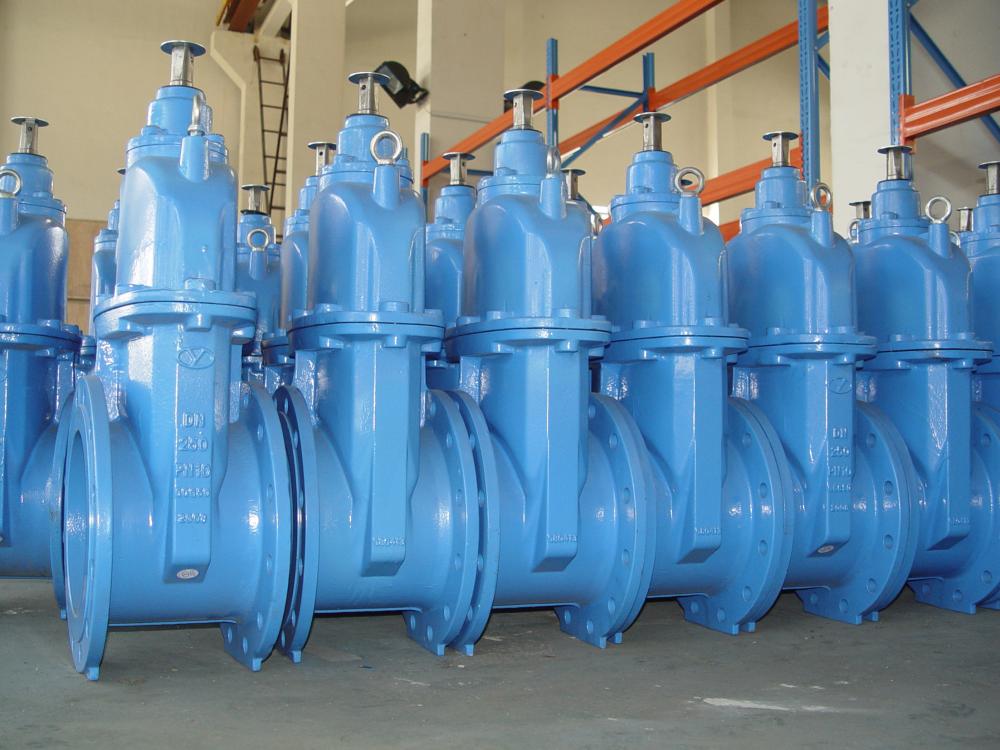 resilient seated gate valve