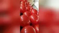 Marine Life Saving Appliance Ball Type Inflatable PVC Boat Fender Buoy1