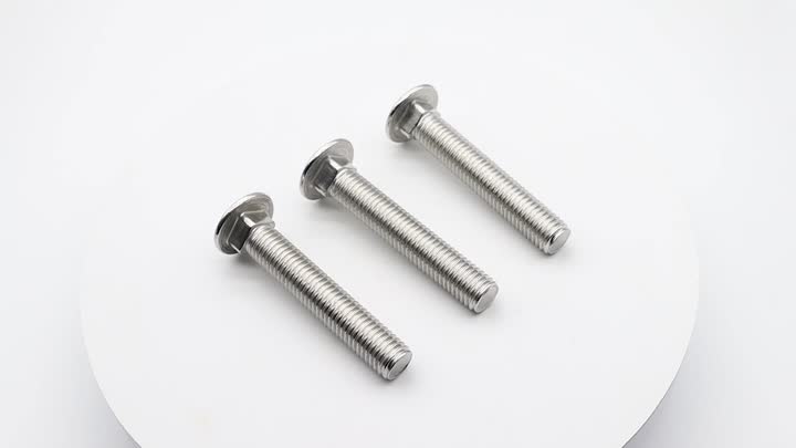 Stainless Steel Carriage Bolt