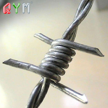 Top 10 Most Popular Chinese Barbed Wire Fencing Brands
