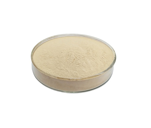 The difference between gelatin and collagen