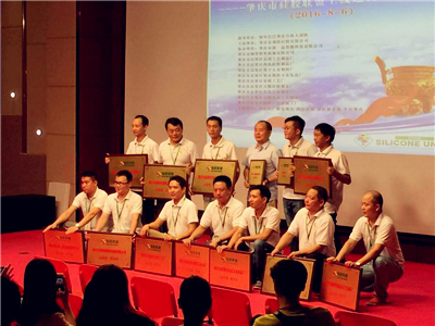 Zhaoqing Silicone United Innovation Co.,Ltd