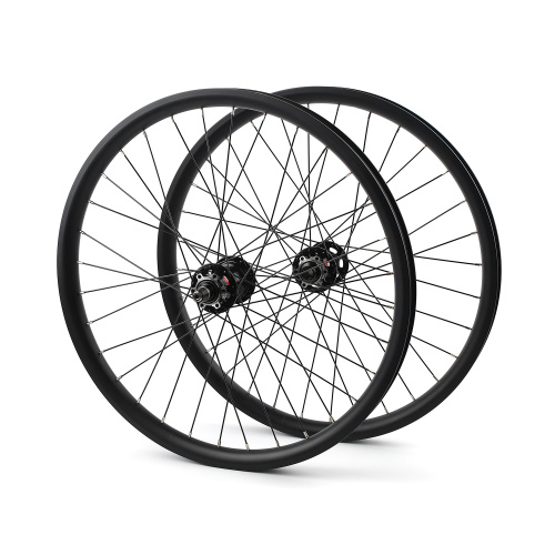 WS004 - BMX wheel