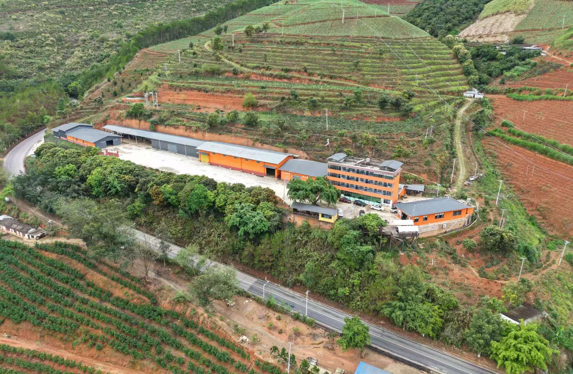 Lincang Yunjia Coffee Co., Ltd