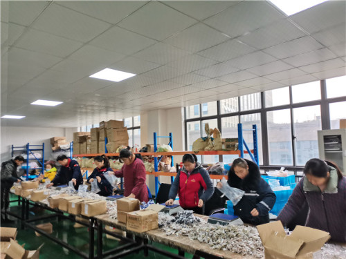 寧波秀南輸出入有限公司、世界のペット飼い主向けにマルチサイズの耐候性木製犬小屋を発売