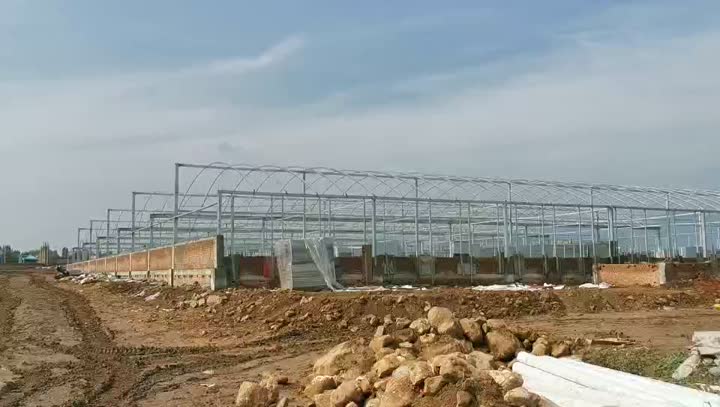 Шматпралётная цяпліца