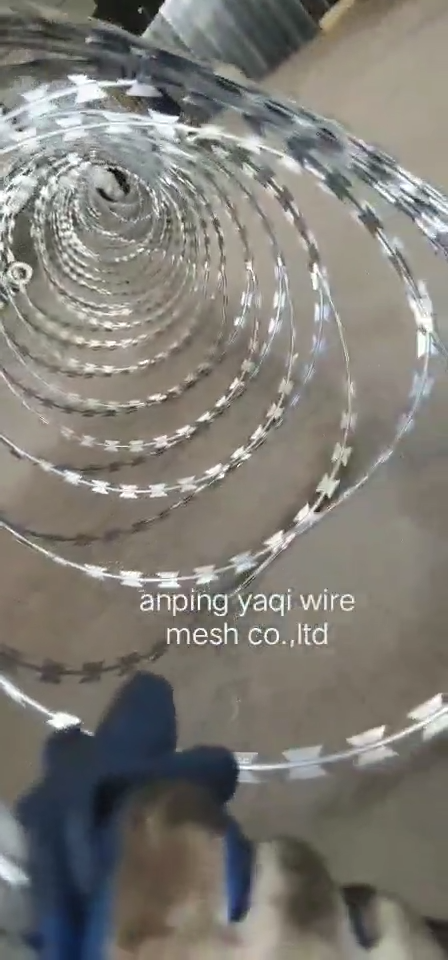 Ocynkowana Razor Concertina Wire/BTO 22 3,8 kg*5rolls razem Razor Wire1