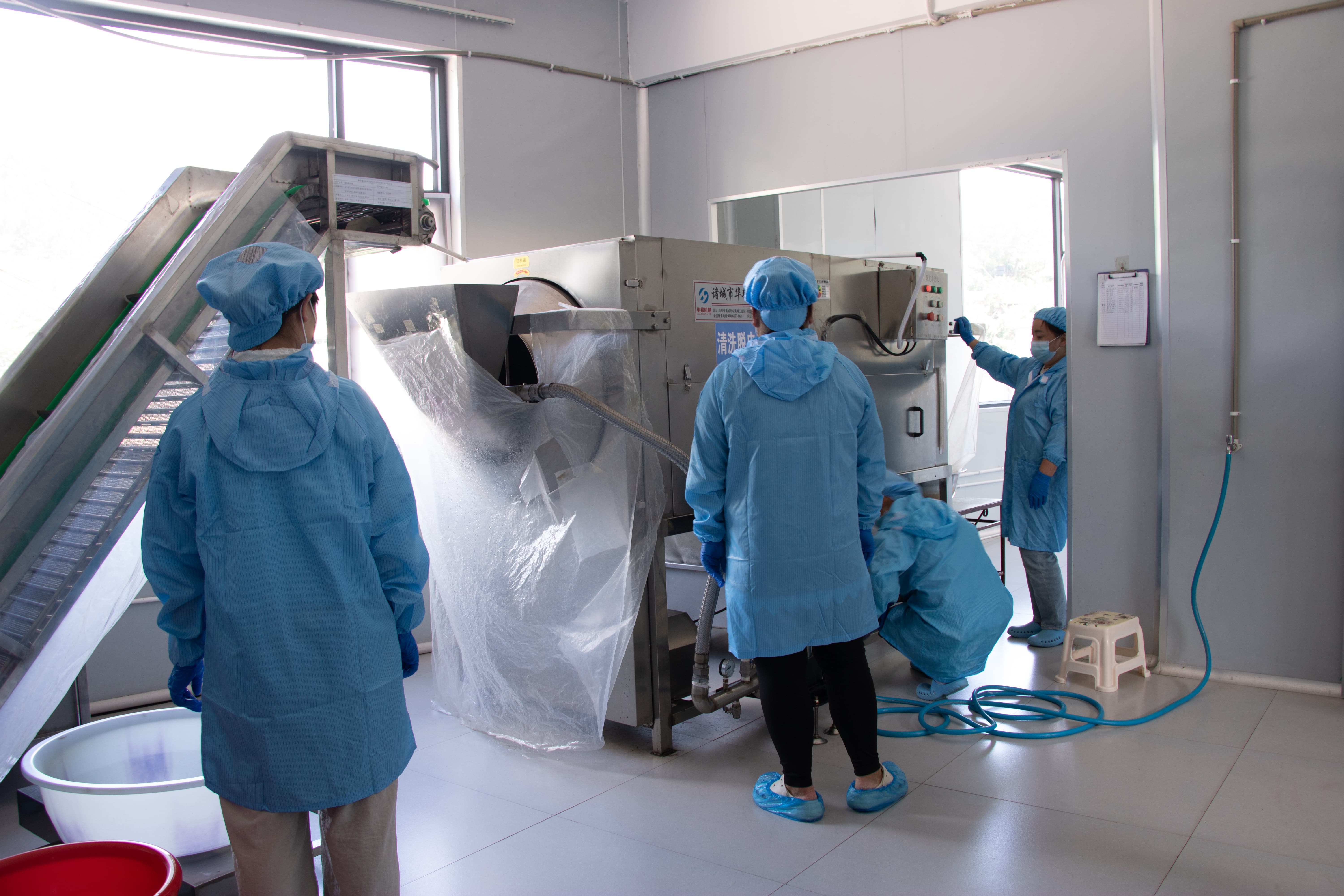 Yunnan Yongping Hongyu Walnut Industry Co., Ltd.,