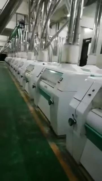 300 TPD Wheat-Flour-Mill