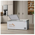 OEM Large Capacity Horizontal Deep Freezer with Fashionable Appearance1