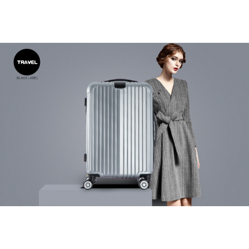 Boutique Trolley Case--YL-802