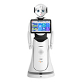 Humanoid AI Robot for Cinema Reception and Greeting Services1